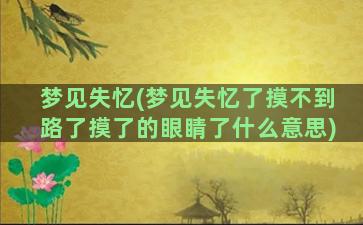 梦见失忆(梦见失忆了摸不到路了摸了的眼睛了什么意思)