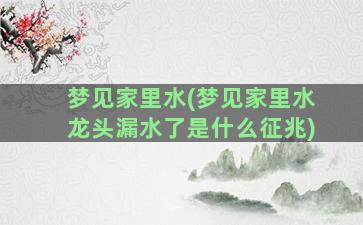 梦见家里水(梦见家里水龙头漏水了是什么征兆)