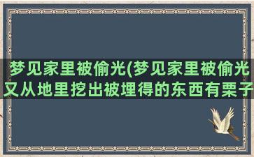 梦见家里被偷光(梦见家里被偷光又从地里挖出被埋得的东西有栗子)