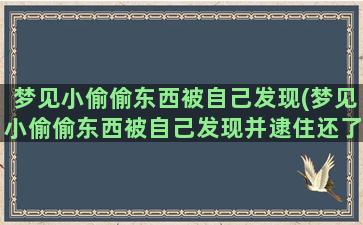 梦见小偷偷东西被自己发现(梦见小偷偷东西被自己发现并逮住还了回来)