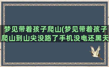 梦见带着孩子爬山(梦见带着孩子爬山到山尖没路了手机没电还黑天了)