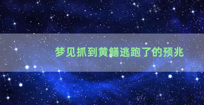 梦见抓到黄鳝逃跑了的预兆