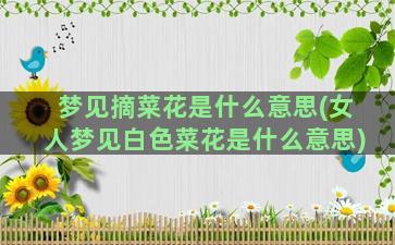 梦见摘菜花是什么意思(女人梦见白色菜花是什么意思)