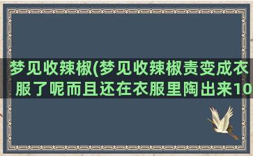 梦见收辣椒(梦见收辣椒责变成衣服了呢而且还在衣服里陶出来100多)