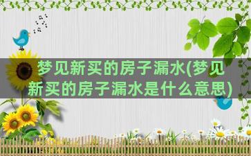 梦见新买的房子漏水(梦见新买的房子漏水是什么意思)