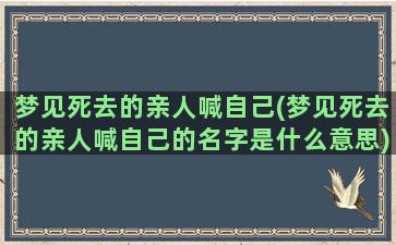 梦见死去的亲人喊自己(梦见死去的亲人喊自己的名字是什么意思)