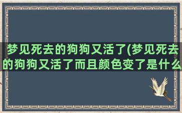 梦见死去的狗狗又活了(梦见死去的狗狗又活了而且颜色变了是什么意思)