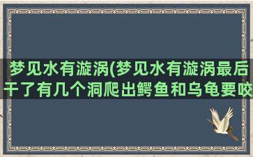 梦见水有漩涡(梦见水有漩涡最后干了有几个洞爬出鳄鱼和乌龟要咬老公)