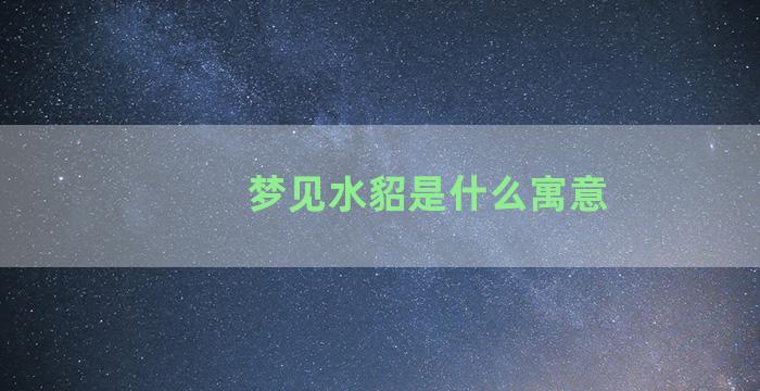 梦见水貂是什么寓意