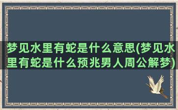 梦见水里有蛇是什么意思(梦见水里有蛇是什么预兆男人周公解梦)