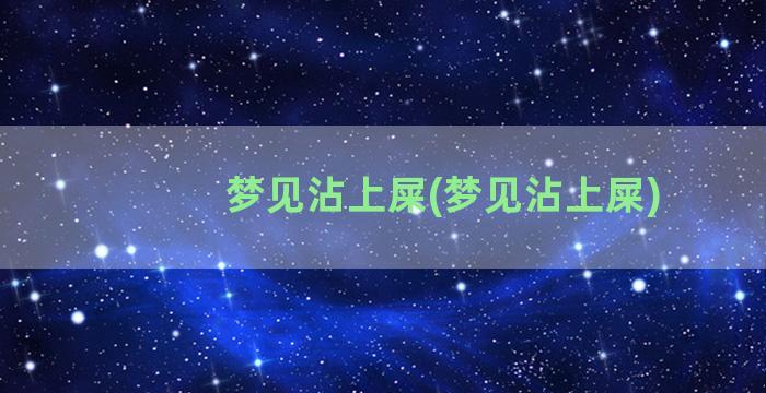 梦见沾上屎(梦见沾上屎)