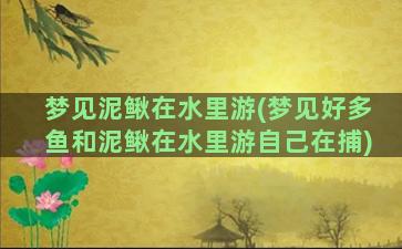 梦见泥鳅在水里游(梦见好多鱼和泥鳅在水里游自己在捕)