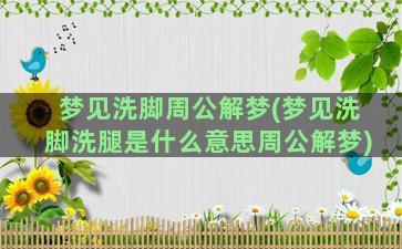 梦见洗脚周公解梦(梦见洗脚洗腿是什么意思周公解梦)