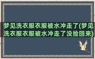 梦见洗衣服衣服被水冲走了(梦见洗衣服衣服被水冲走了没捡回来)