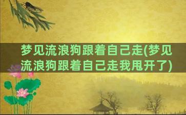 梦见流浪狗跟着自己走(梦见流浪狗跟着自己走我甩开了)