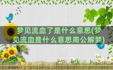 梦见流血了是什么意思(梦见流血是什么意思周公解梦)