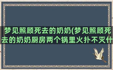 梦见照顾死去的奶奶(梦见照顾死去的奶奶厨房两个锅里火扑不灭什么意思)