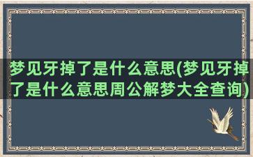 梦见牙掉了是什么意思(梦见牙掉了是什么意思周公解梦大全查询)