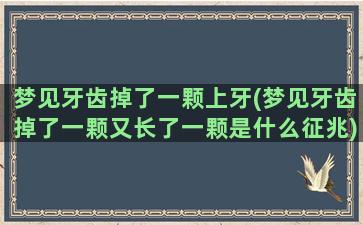 梦见牙齿掉了一颗上牙(梦见牙齿掉了一颗又长了一颗是什么征兆)