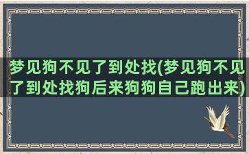 梦见狗不见了到处找(梦见狗不见了到处找狗后来狗狗自己跑出来)