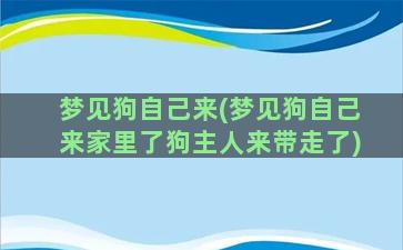 梦见狗自己来(梦见狗自己来家里了狗主人来带走了)