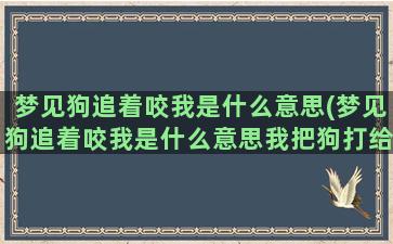 梦见狗追着咬我是什么意思(梦见狗追着咬我是什么意思我把狗打给吓住不敢哼声了)