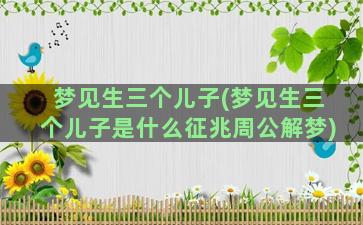 梦见生三个儿子(梦见生三个儿子是什么征兆周公解梦)