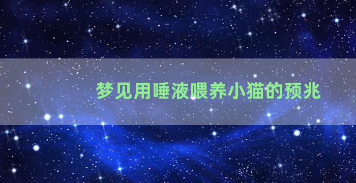 梦见用唾液喂养小猫的预兆