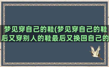 梦见穿自己的鞋(梦见穿自己的鞋后又穿别人的鞋最后又换回自己的鞋)