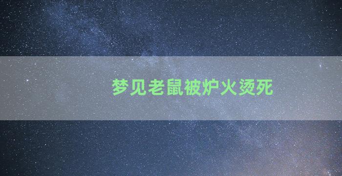 梦见老鼠被炉火烫死