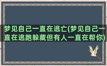 梦见自己一直在逃亡(梦见自己一直在逃跑躲藏但有人一直在帮你)