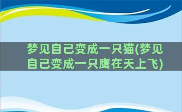 梦见自己变成一只猫(梦见自己变成一只鹰在天上飞)