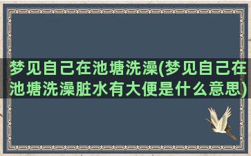 梦见自己在池塘洗澡(梦见自己在池塘洗澡脏水有大便是什么意思)