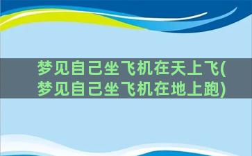 梦见自己坐飞机在天上飞(梦见自己坐飞机在地上跑)