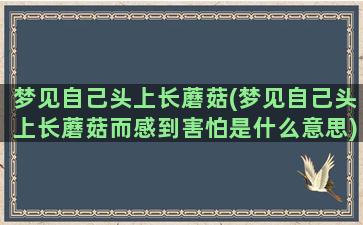 梦见自己头上长蘑菇(梦见自己头上长蘑菇而感到害怕是什么意思)