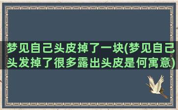 梦见自己头皮掉了一块(梦见自己头发掉了很多露出头皮是何寓意)