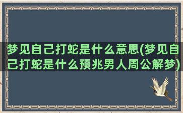 梦见自己打蛇是什么意思(梦见自己打蛇是什么预兆男人周公解梦)