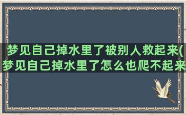 梦见自己掉水里了被别人救起来(梦见自己掉水里了怎么也爬不起来)