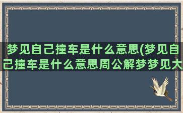 梦见自己撞车是什么意思(梦见自己撞车是什么意思周公解梦梦见大松树自己进屋)