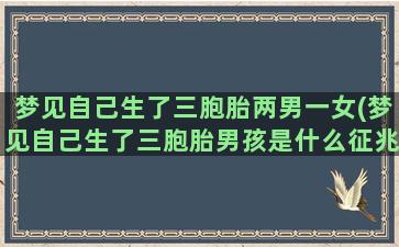 梦见自己生了三胞胎两男一女(梦见自己生了三胞胎男孩是什么征兆)