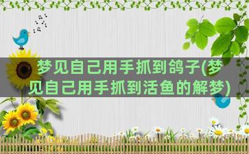 梦见自己用手抓到鸽子(梦见自己用手抓到活鱼的解梦)