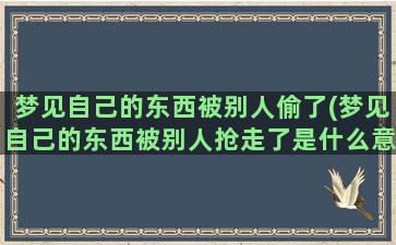 梦见自己的东西被别人偷了(梦见自己的东西被别人抢走了是什么意思)