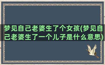 梦见自己老婆生了个女孩(梦见自己老婆生了一个儿子是什么意思)