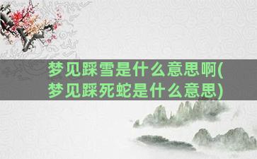 梦见踩雪是什么意思啊(梦见踩死蛇是什么意思)