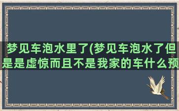 梦见车泡水里了(梦见车泡水了但是是虚惊而且不是我家的车什么预兆)