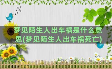 梦见陌生人出车祸是什么意思(梦见陌生人出车祸死亡)