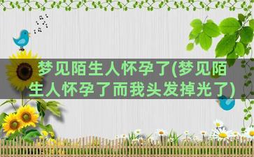 梦见陌生人怀孕了(梦见陌生人怀孕了而我头发掉光了)