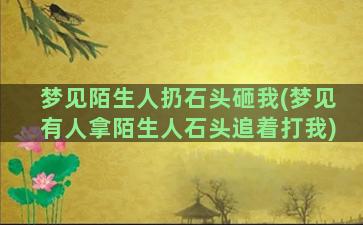 梦见陌生人扔石头砸我(梦见有人拿陌生人石头追着打我)