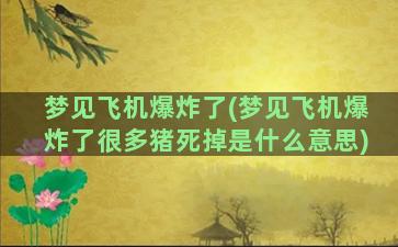 梦见飞机爆炸了(梦见飞机爆炸了很多猪死掉是什么意思)