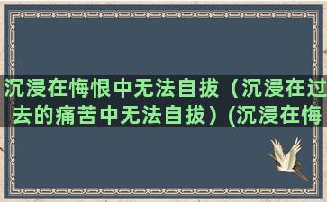 沉浸在悔恨中无法自拔（沉浸在过去的痛苦中无法自拔）(沉浸在悔恨中无法自拔)